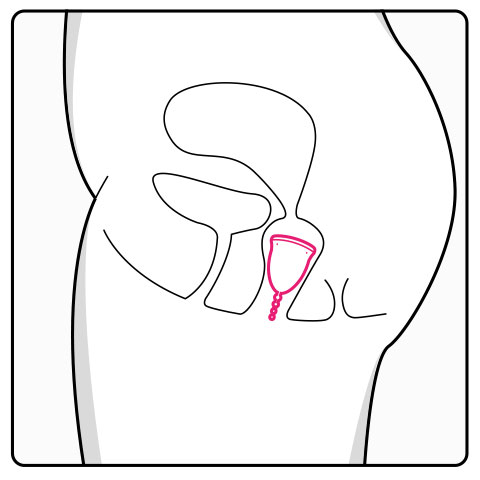 Cupa menstruala Nomai Cup din Finlanda