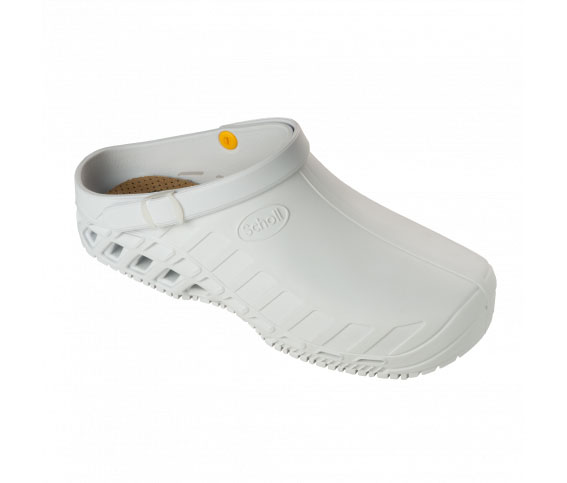 SCHOLL CLOG EVO ALB 45/46