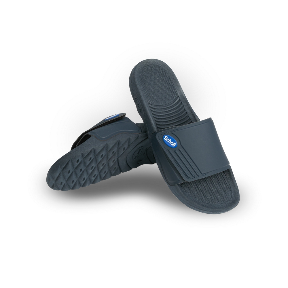 Scholl Nautilus