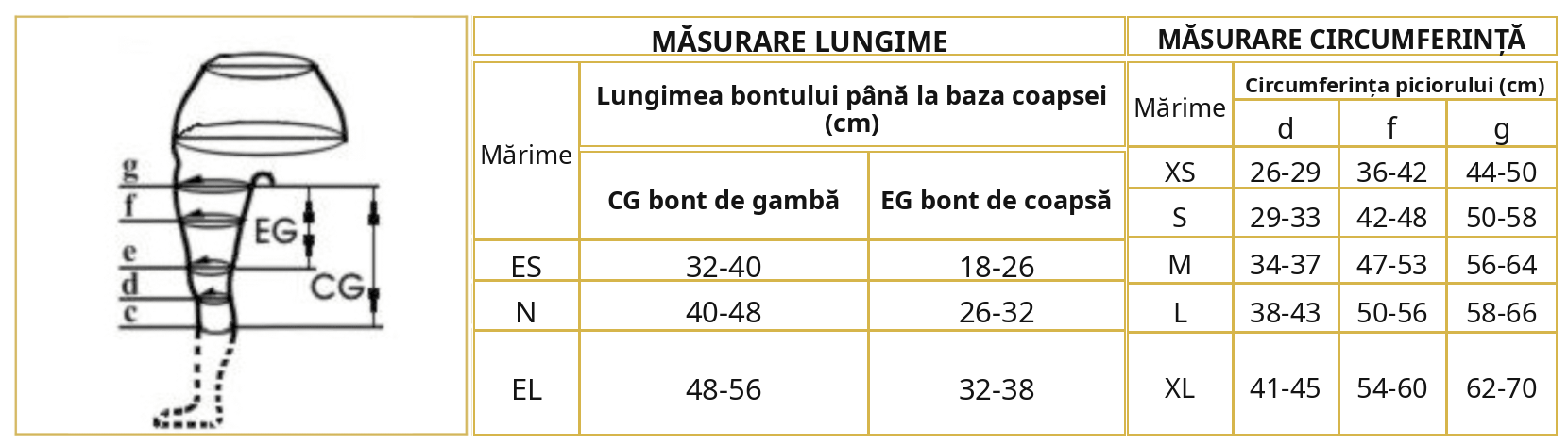 CIORAP DE BONT - AMPUTATIE GAMBA ELASTOMED CG - L