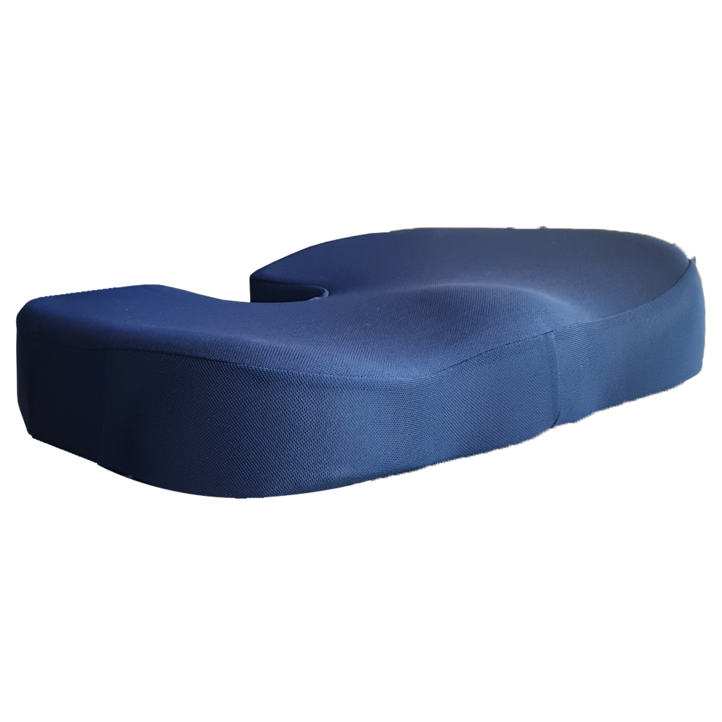 PERNA DE SEZUT ANATOMICA (COCCIX) - MEMORY