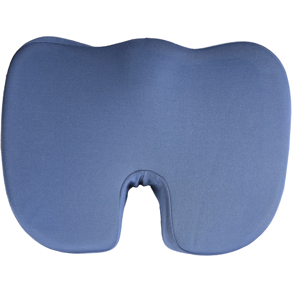 PERNA DE SEZUT ANATOMICA (COCCIX) - MEMORY