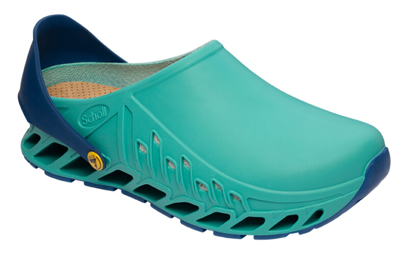 Scholl Evoflex