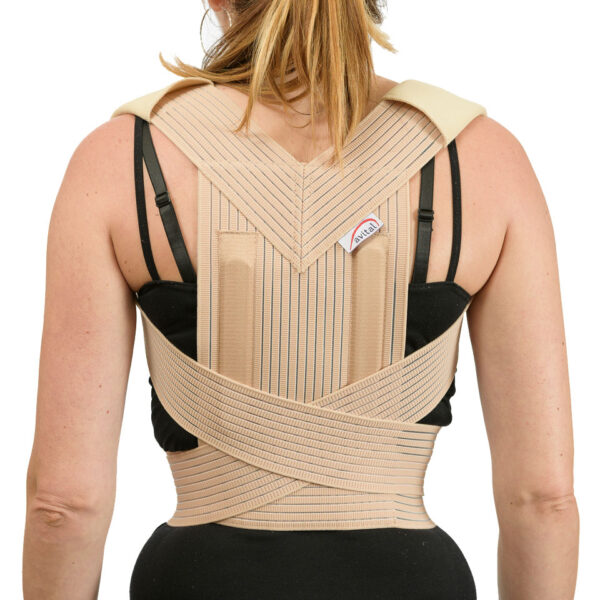 Ham de memorie AVITAL VL-10016