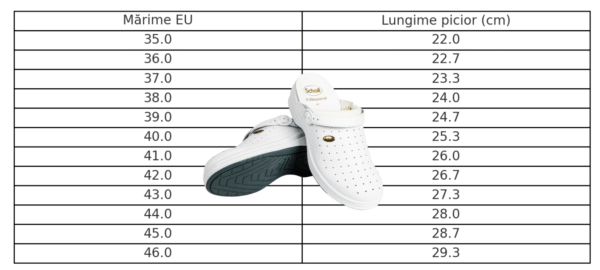 Scholl Bonus - imagine 14